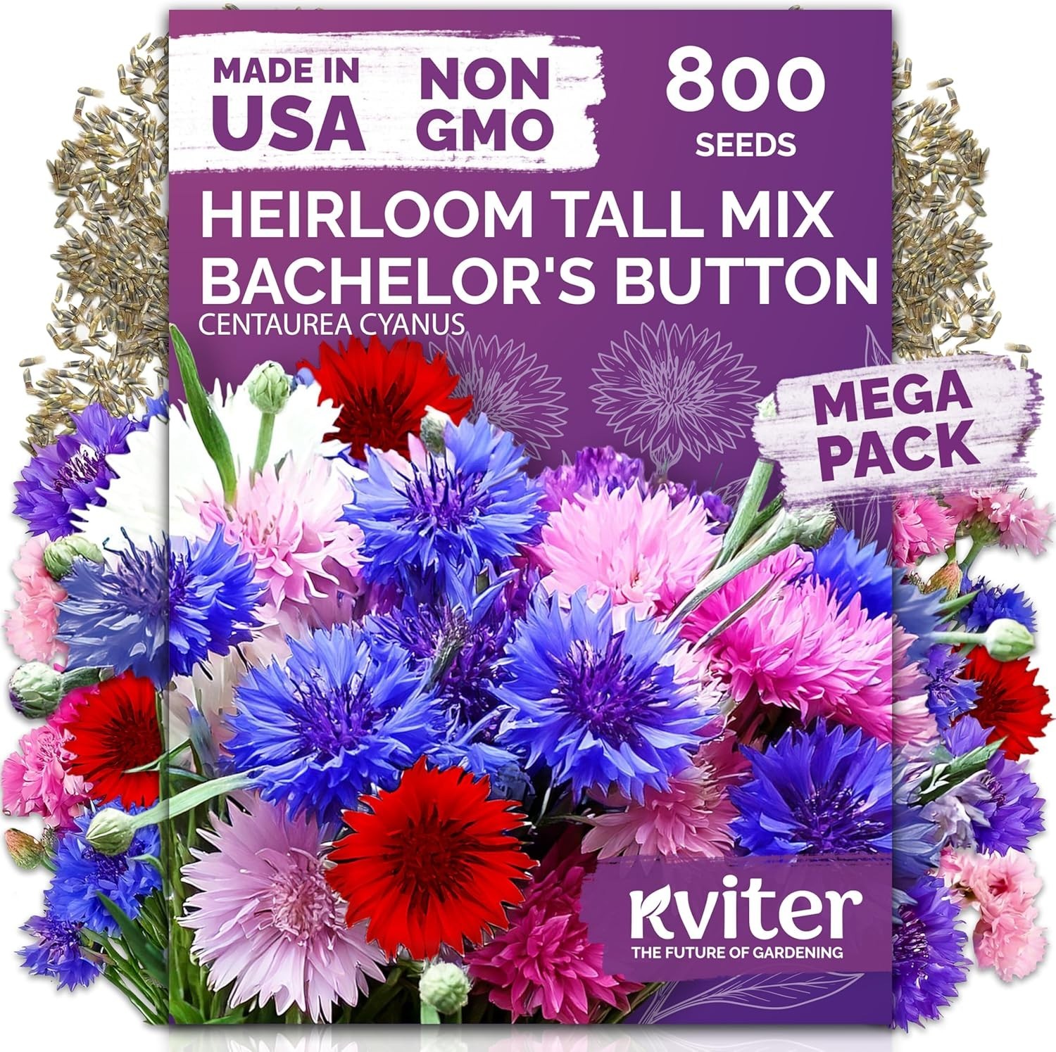 Bachelor Buttons Wild Flower Seed Mix – 800 Count for Indoor & Outdoor Bliss