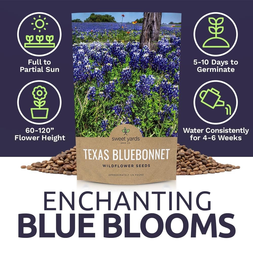 Texas Bluebonnet Wildflower Seeds – 1/4 lb Bulk, 4000+ Native Seeds, State Flowe