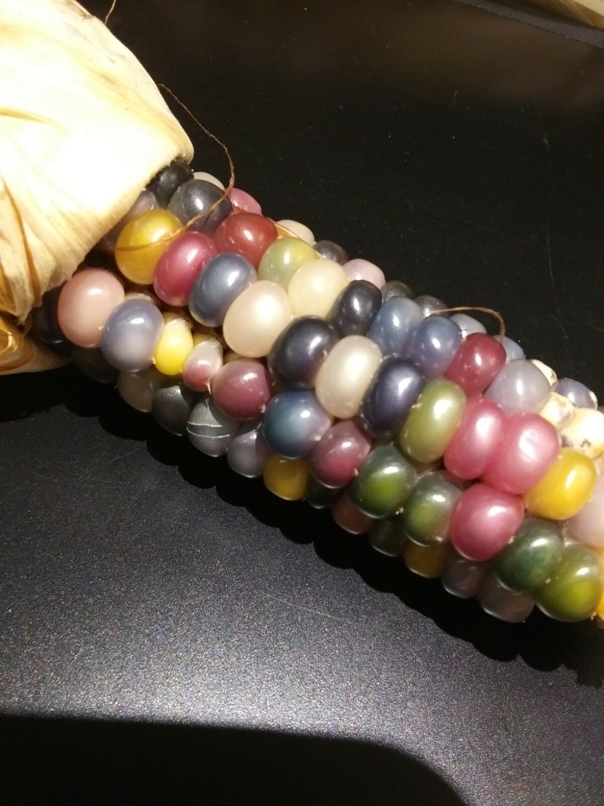 100 GLASS GEM INDIAN CORN SEEDS 2021 HARVEST