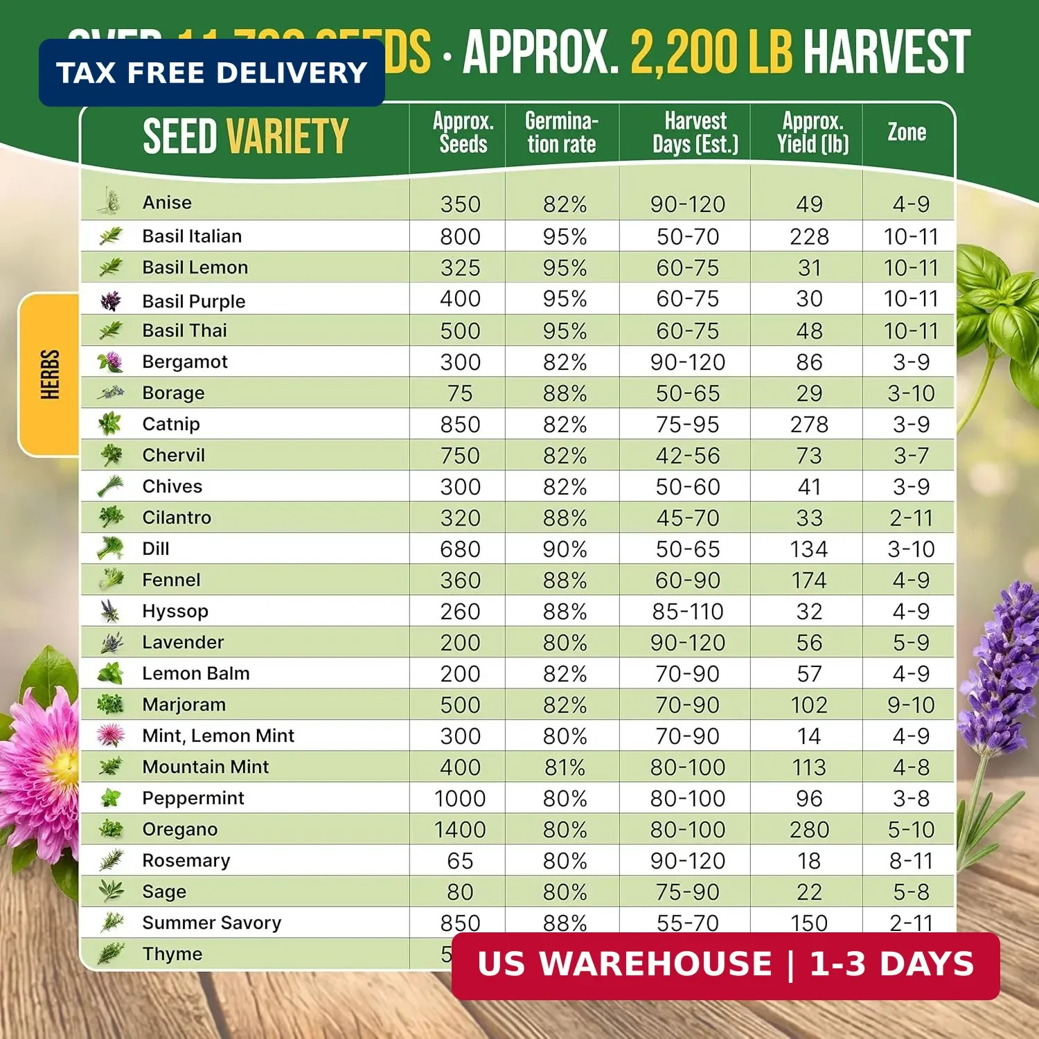 25 Most Popular Herb Seeds Variety Pack – 11,700 Non-GMO Heirloom Seeds for Plan