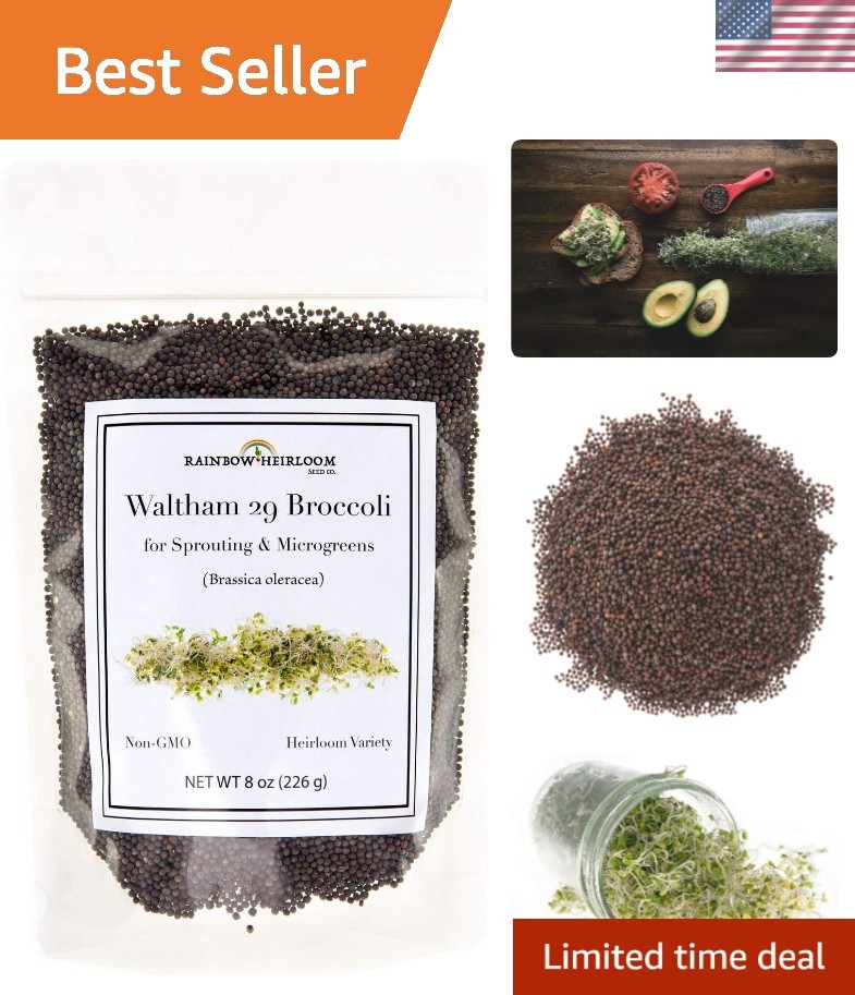 Easy-to-Grow Broccoli Microgreens Seeds – Non-GMO Heirloom – 8 oz Resealable