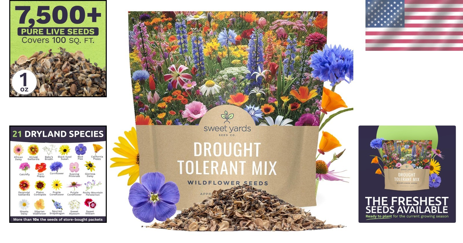 Extra Large Wildflower Seed Mix – Over 21 Species for Colorful Sustainability