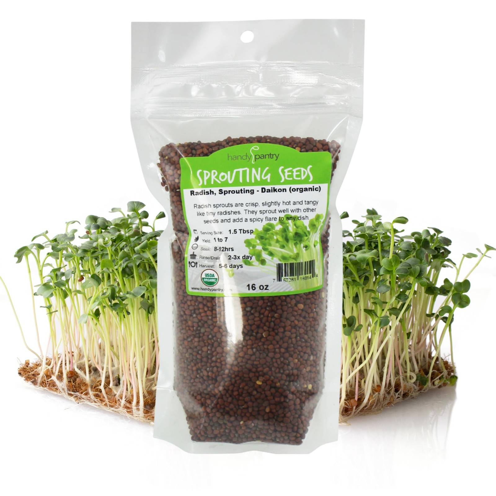 NonGMO Daikon Radish Seeds for Indoor Microgreens – 1 lb Pack