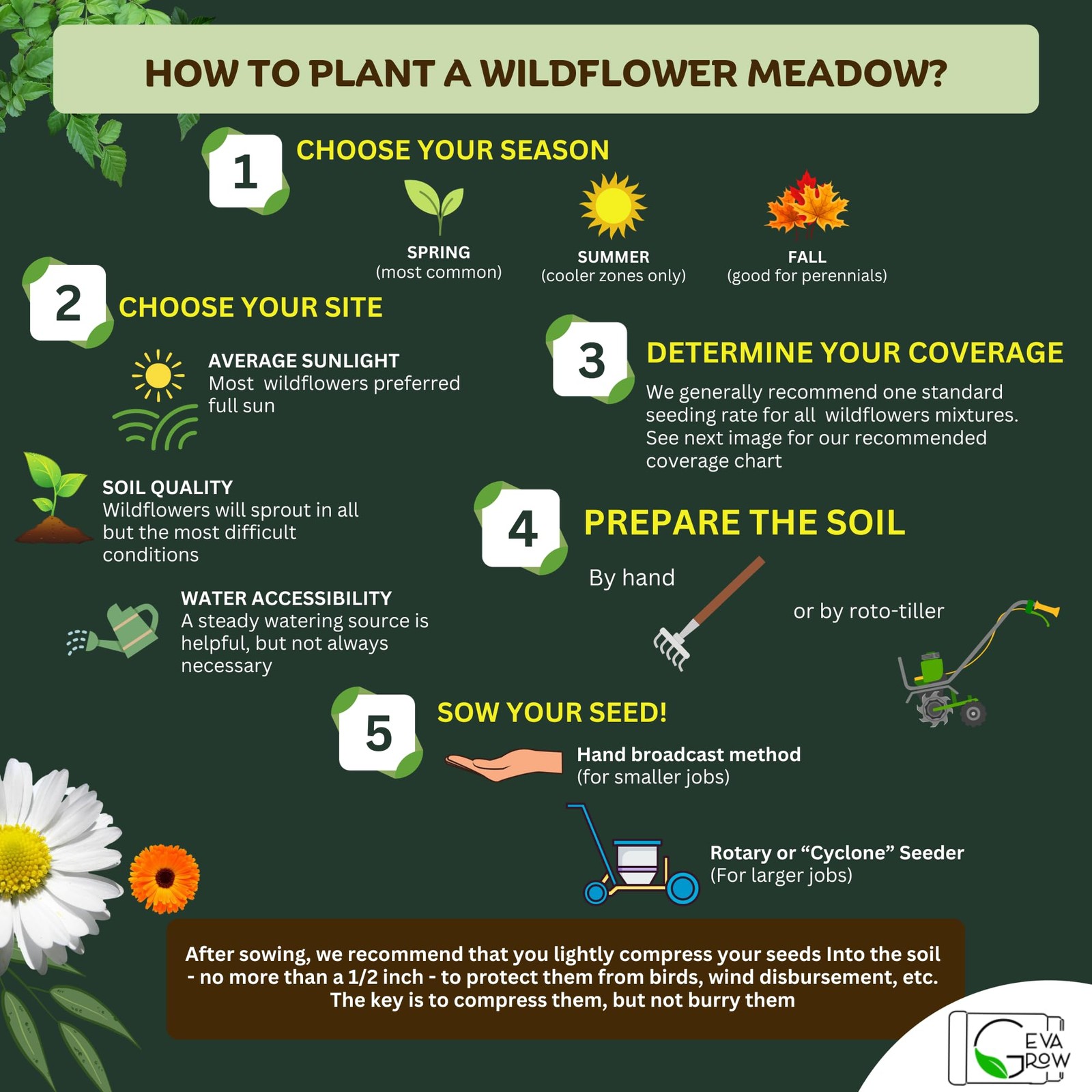 Annual Wildflower Seed Mix 2 Ounce Shaker for Vibrant Gardens