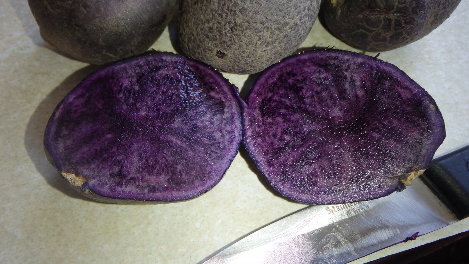 ORGANIC All Blue 5 Potato tubers, Purple Potato Solanum tuberosum Unique garden
