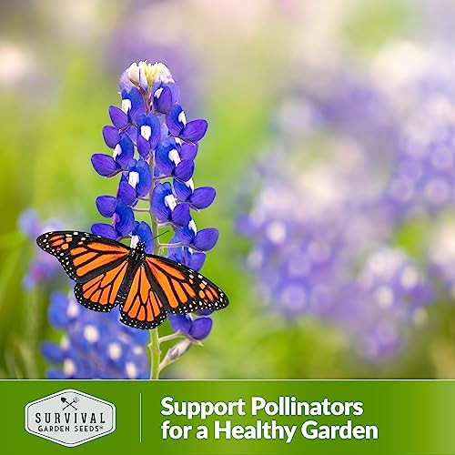Texas Bluebonnet Seeds for Planting – Packets with Instructions to Plant & 2