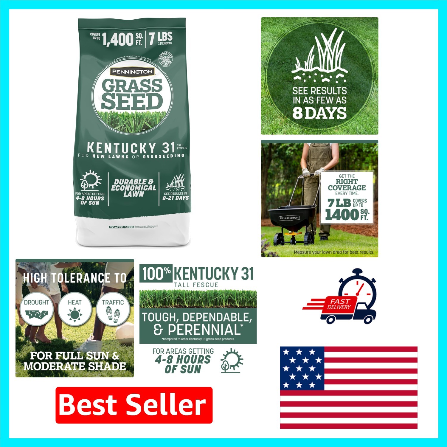 Penkoted Kentucky 31 Tall Fescue – Durable Grass Seed for 1,400 sq. ft.
