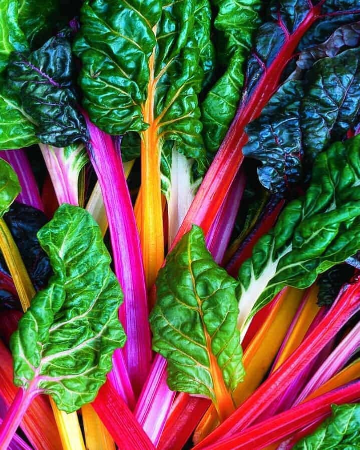 Bright Lights Swiss Chard Seeds 100+ SEEDS NON-GMO FREE SHIPPING