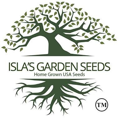 Long Green Improved Cucumber Seeds (Cucumis sativus) – 100+ Heirloom Non GMO …