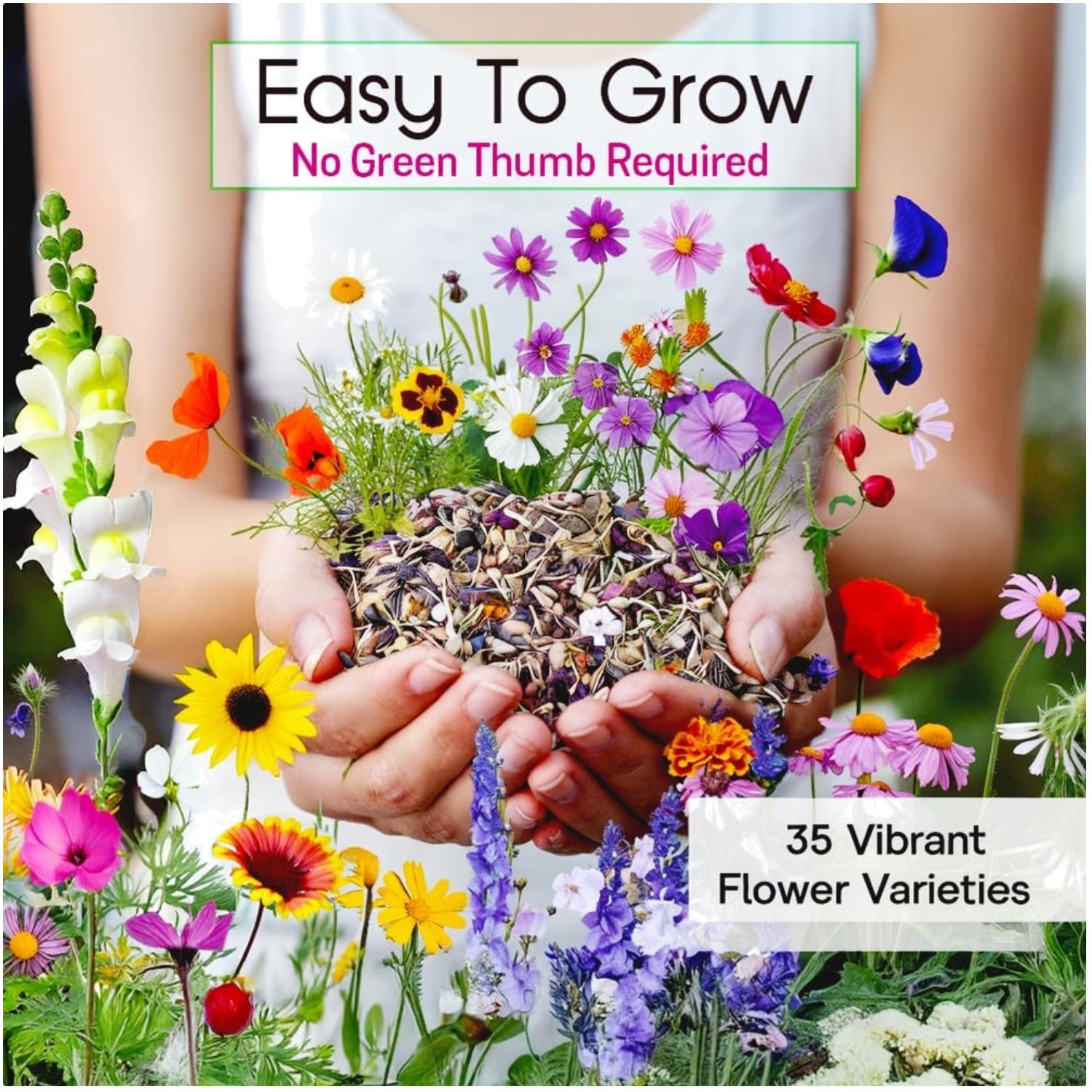 High Germination Rate Wildflower Seeds – 85K Count