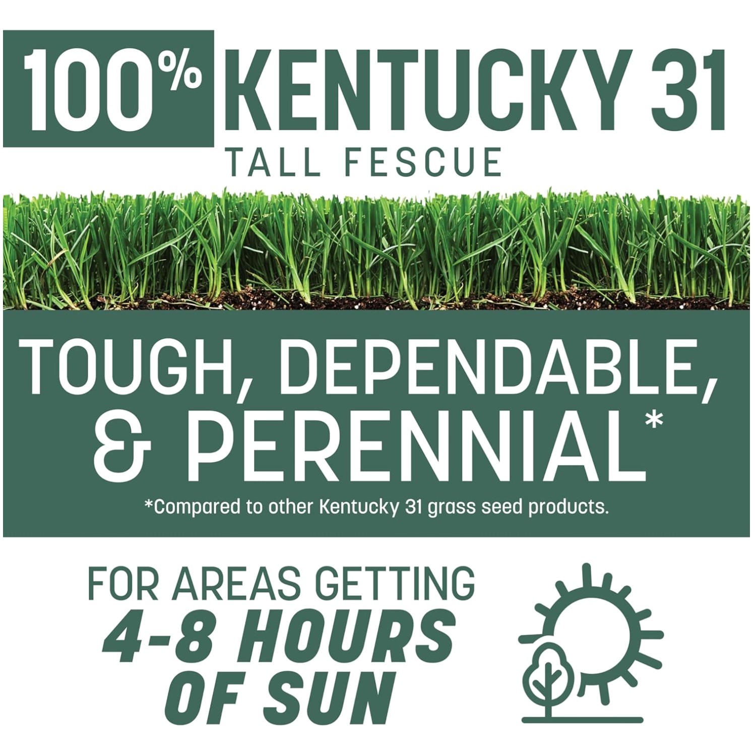 Sun & Shade Grass Seed – Kentucky 31 Tall Fescue 40 lb