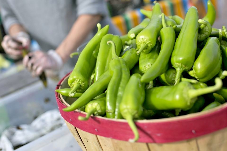 Anaheim chili hot pepper seeds non-gmo heirloom open pollinated awesome flavor!