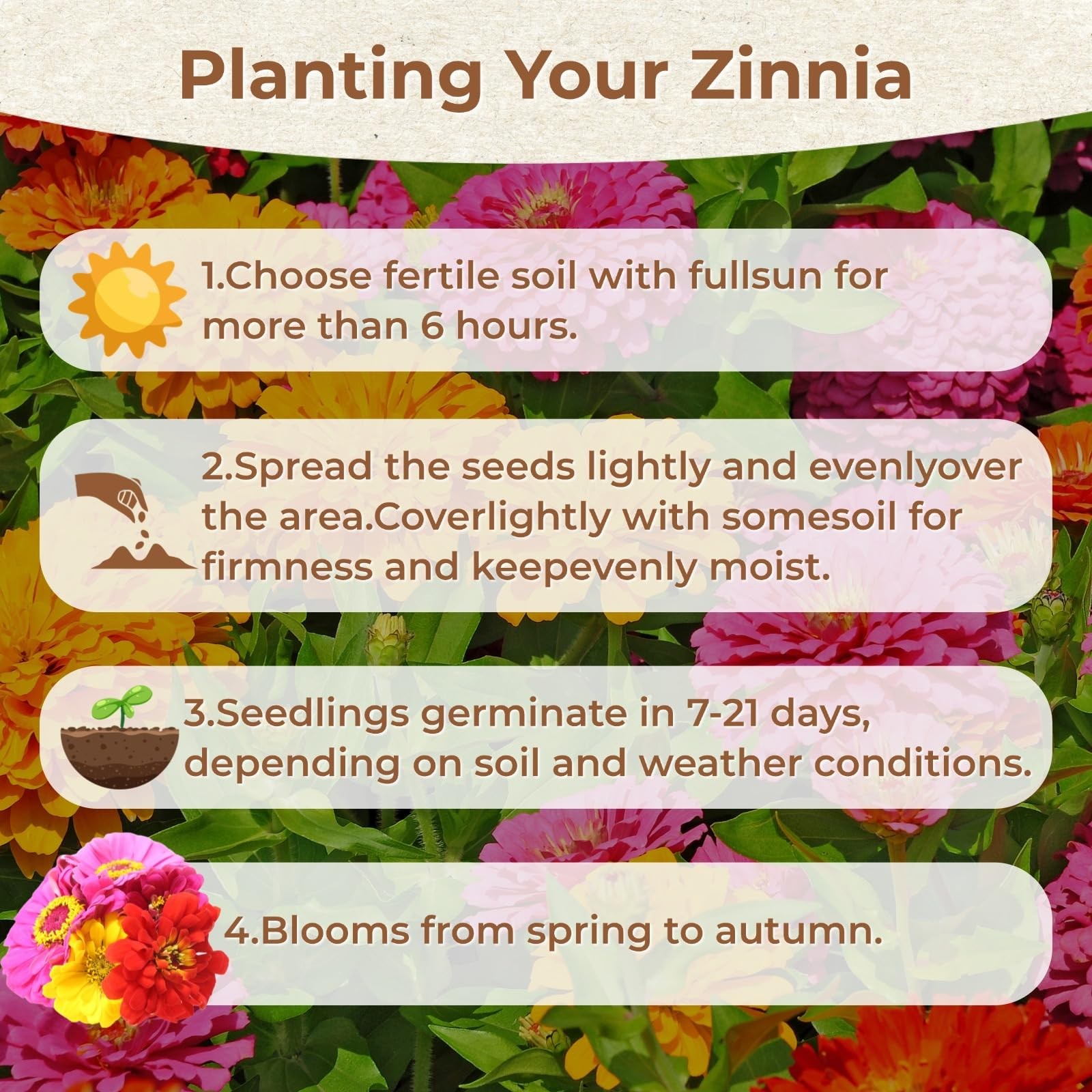 16000+ Zinnia Flower Seeds for 2026-7+ Color Mix, High Germination 4oz