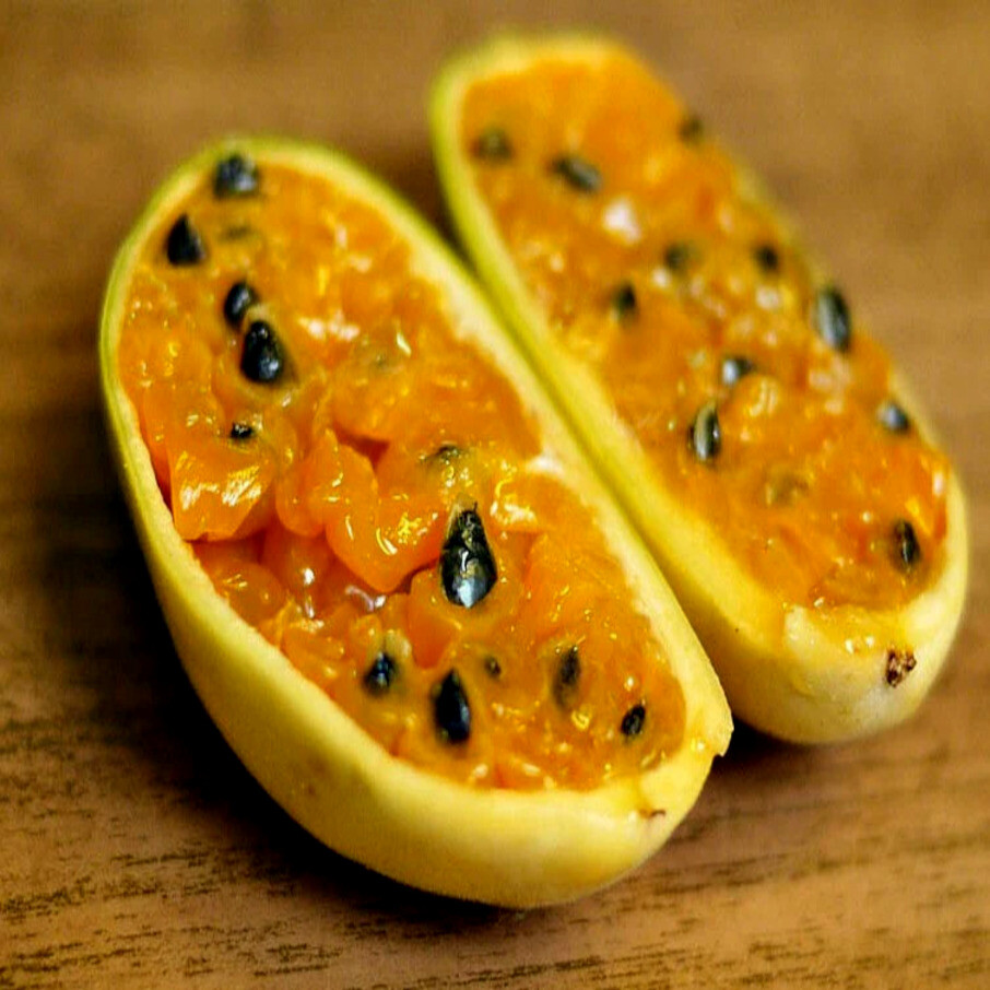 10 BANANA PASSIONFRUIT SEEDS (Passiflora Mollissima) Fast Flower Vine Plant RARE
