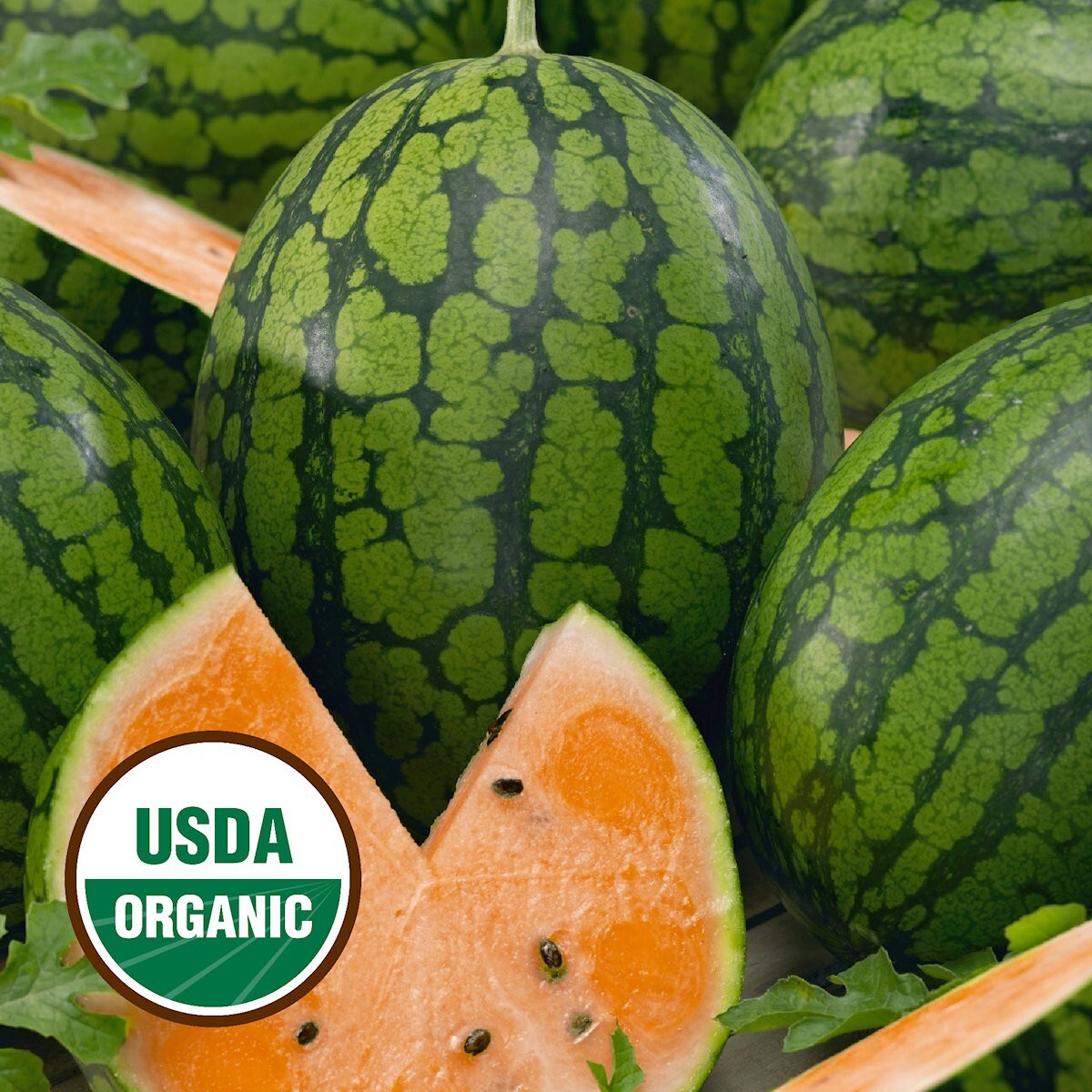 20 Organic Orange Tendersweet Watermelon Seeds – Everwilde Farms Mylar Packet