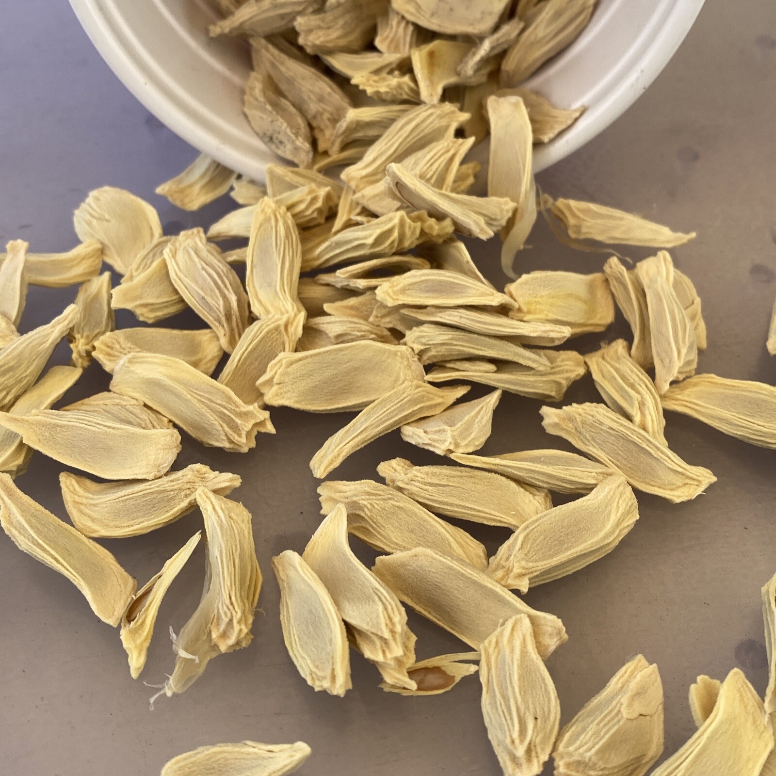 15 Seeds, Dry Giant Pummelo, Citrus, Pomelo Bưởi Năm Roi USA Seller