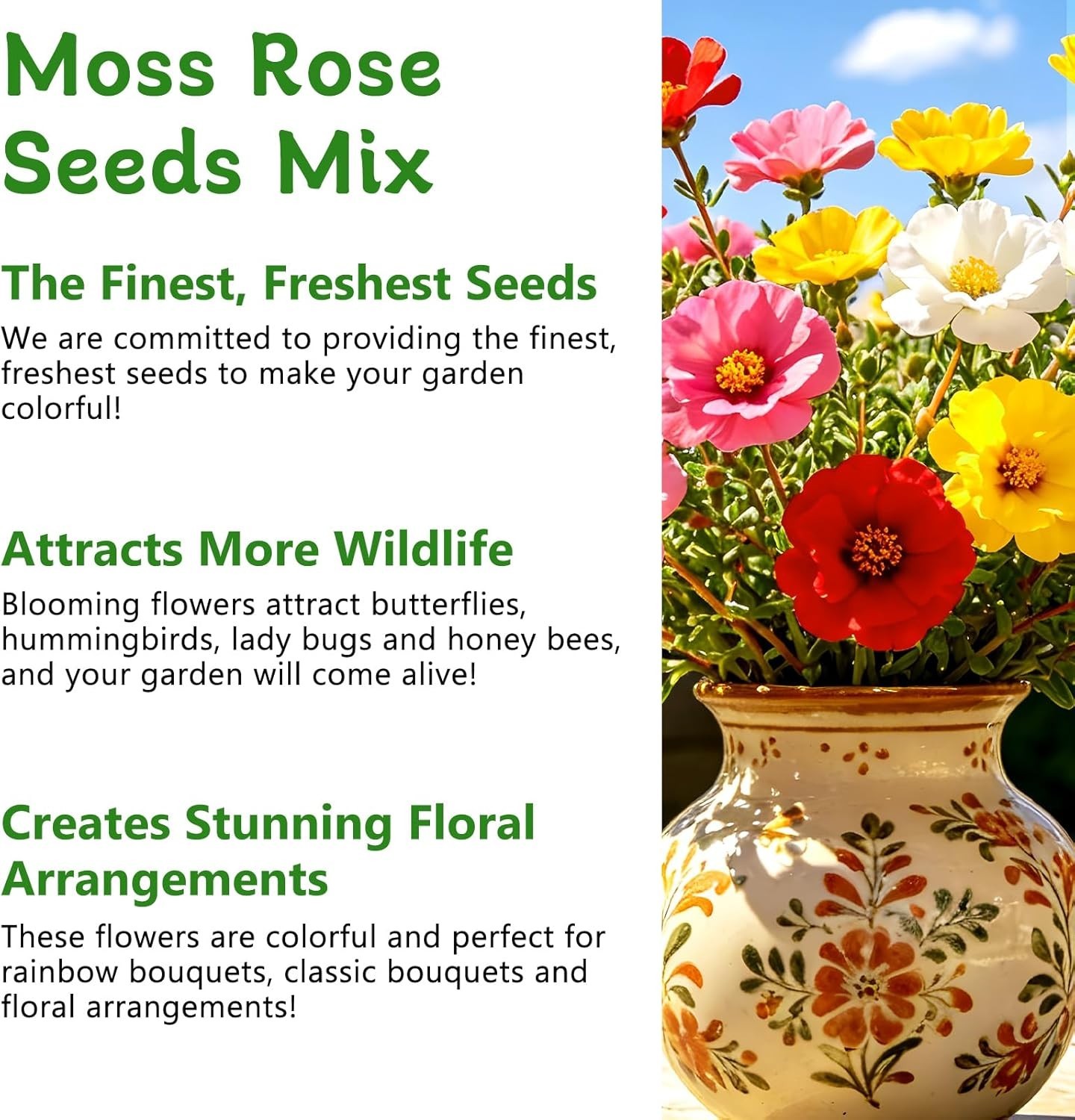 Moss Rose Seeds for Planting Outdoors – Attracts Pollinators