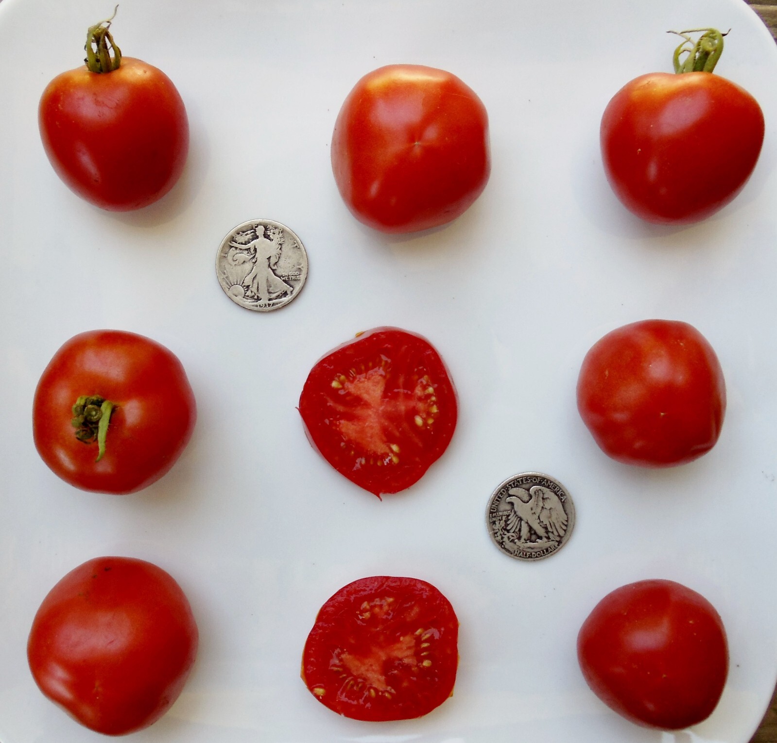 Mrtomatohead’s Top Ten 10, +25 Seed packets of my all time favorites! Will sub