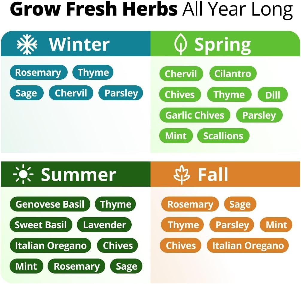 HOME GROWN Herb Seeds for Planting 15-Pack Massive Seed Count 4,300+ Seeds Non-G