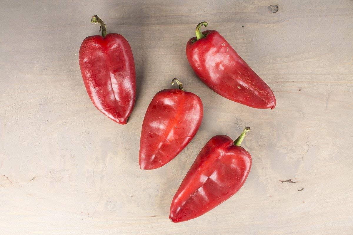 Elephant Ears Croatian Slonovo Uvo Ajvar Heirloom Pepper Premium Seed Packet