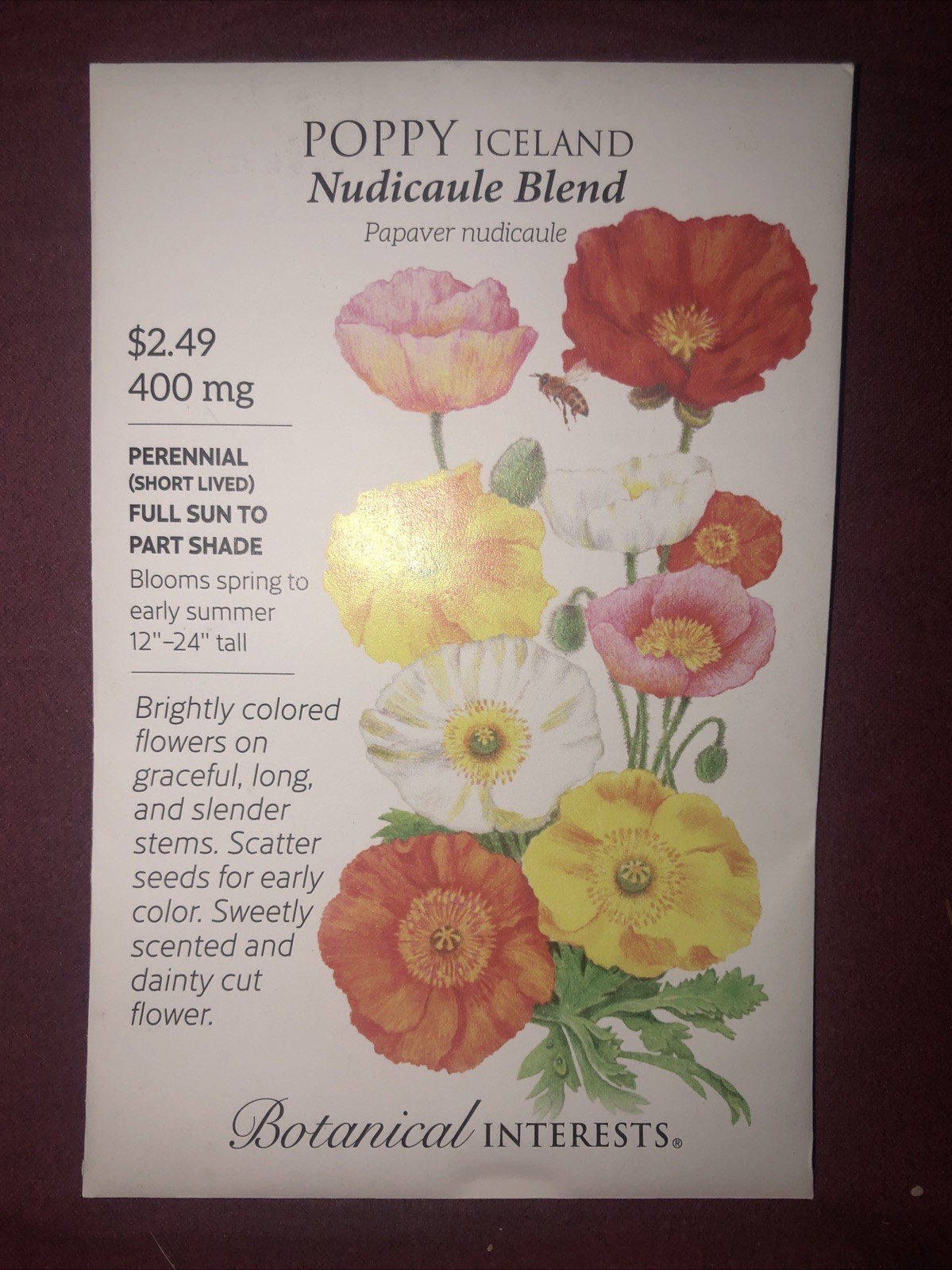 Poppy Iceland Nudicaule Blend Heirloom Seeds Botanical Interests Exp. 12/2024