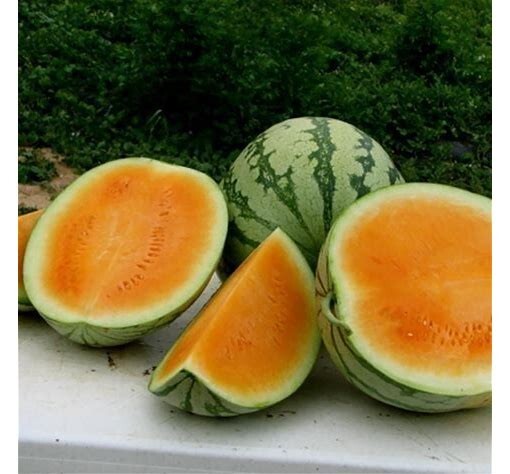 10 Seeds Tendersweet Orange NON-GMO Seeds Planting Heirloom Garden