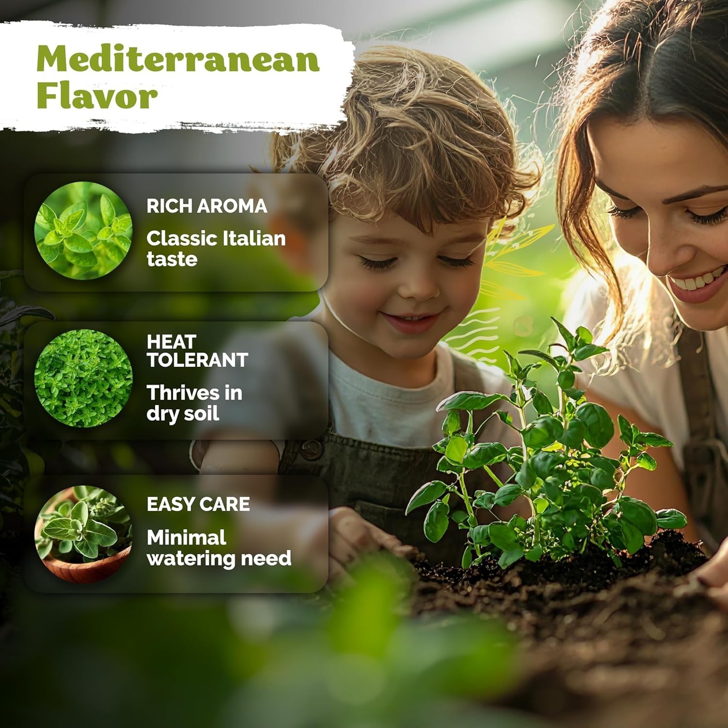 1200 Non-GMO Italian Oregano Seeds – Heirloom Herb for Indoor & Outdoor Gardens