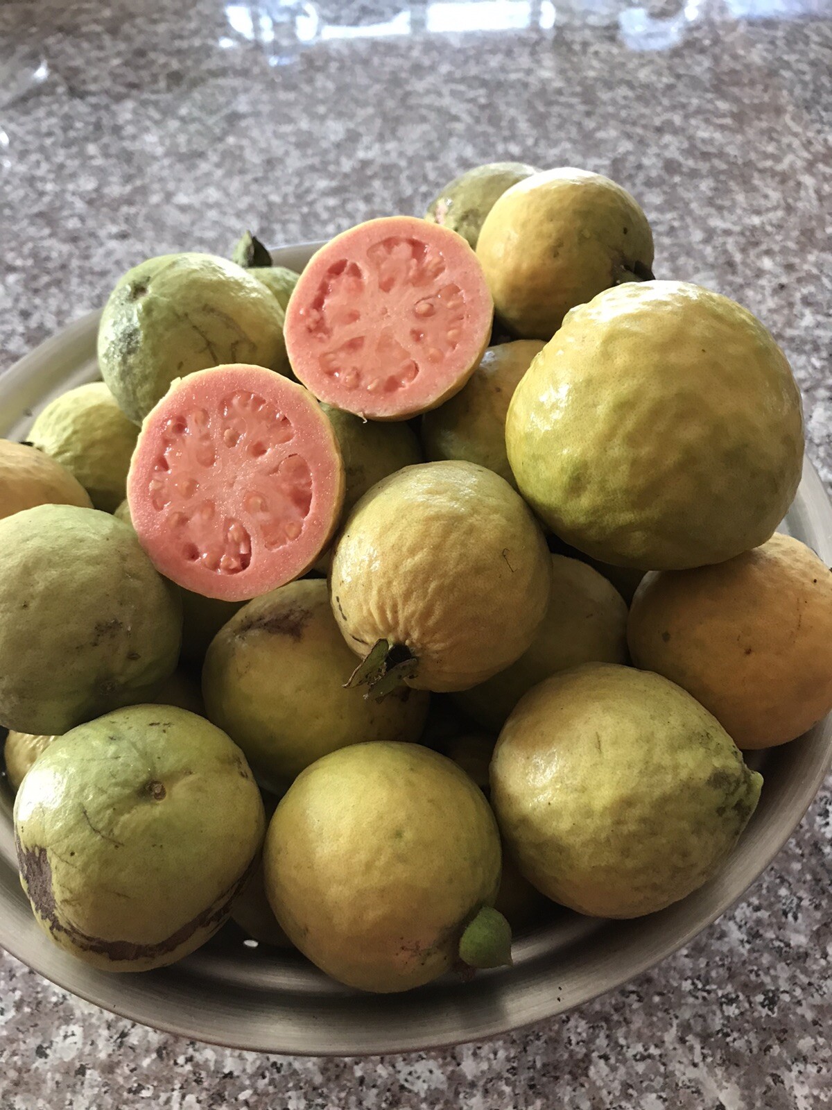 100 Pink Guava Seed Tropical Fruit Tree Perennial Seeds Organic