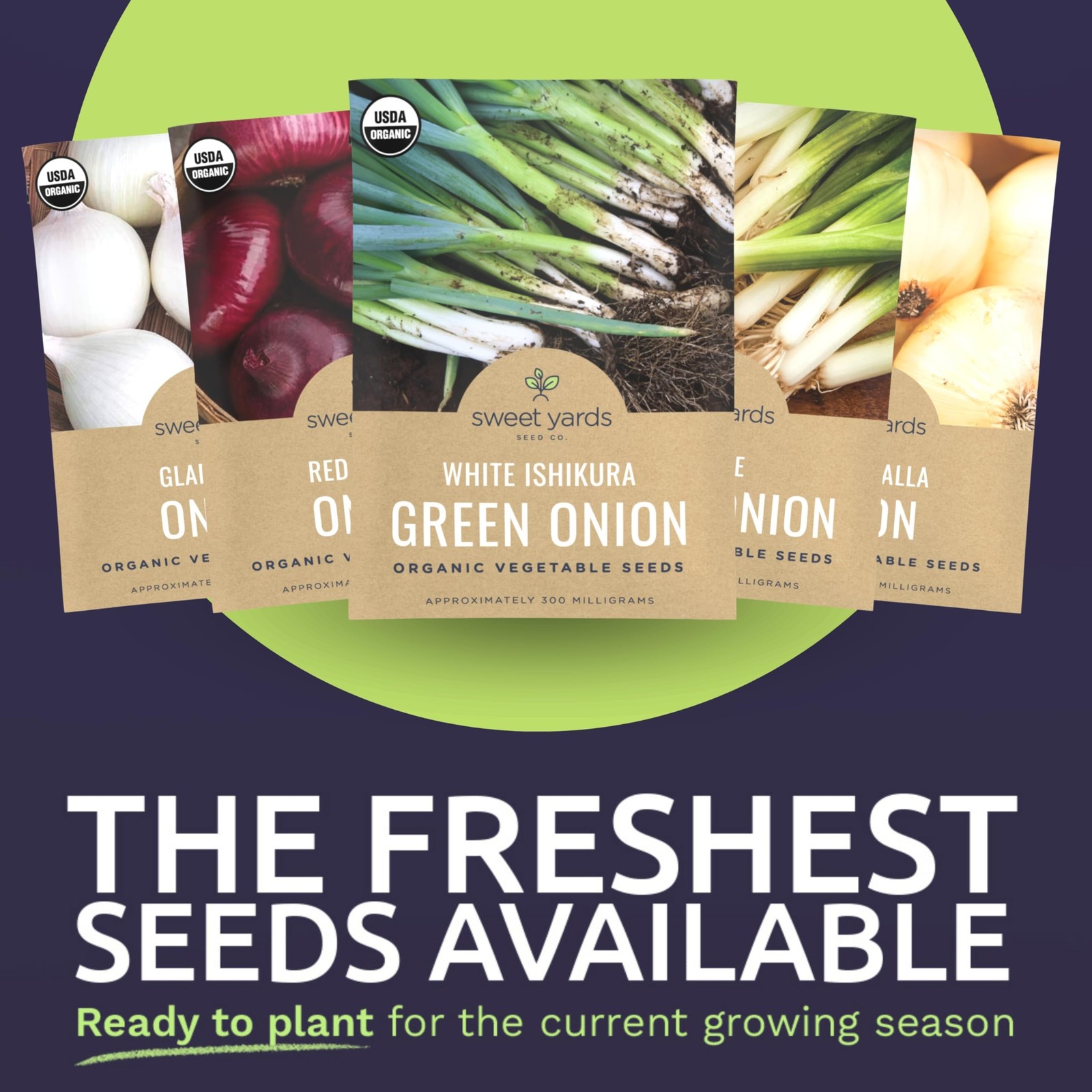 Organic Onion Seeds Variety Pack – 6 Individual Packs – 2026 Season – Walla W…