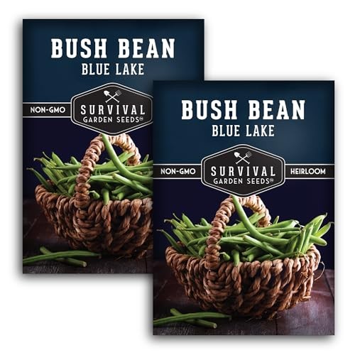 Blue Lake74 Bush Bean Seeds for Planting – Heirloom Non-GMO Green Beans – 2