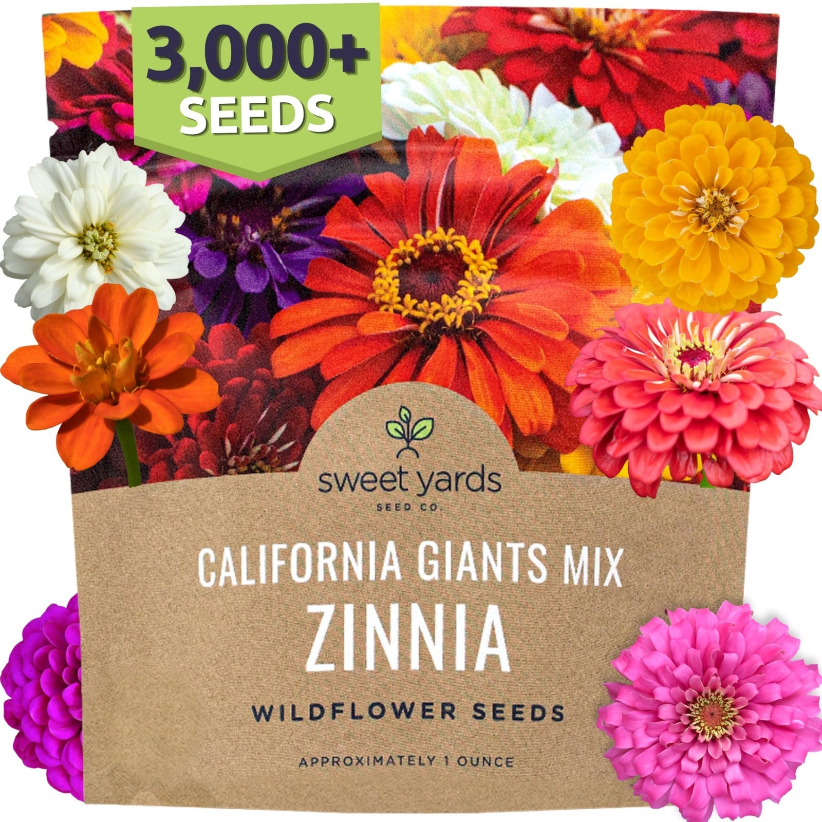 California Giants Zinnia Seeds – 1oz Packet, 3,000 Flower Seeds, Mixed Colors, L