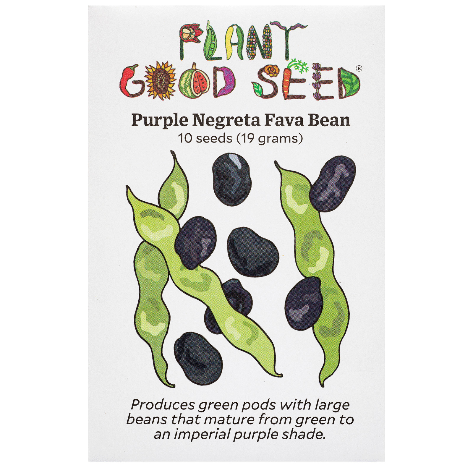 Negreta Purple Fava Bean Seed Packet – 10 seeds, Certified Organic Heirloom Faba