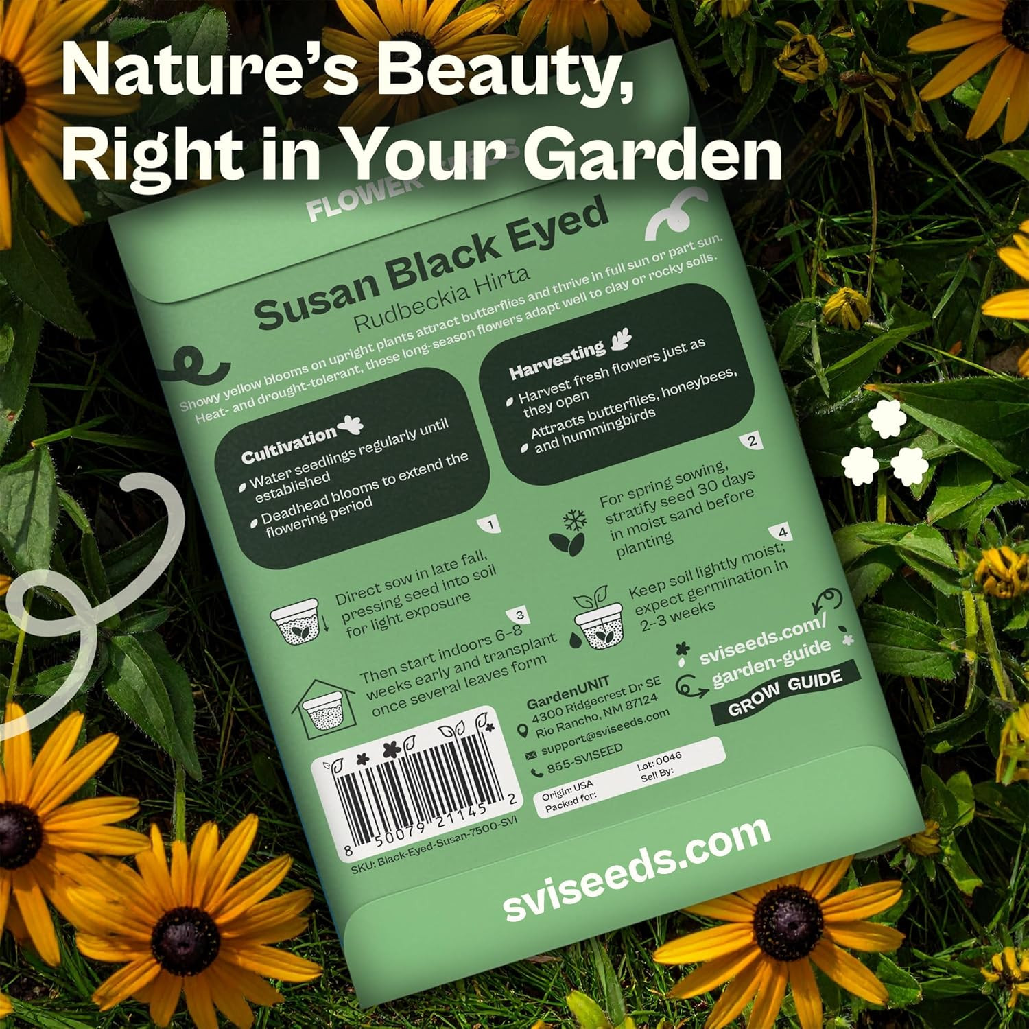 7500 Black Eyed Susan Seeds (Rudbeckia Hirta) – Black-Eyed Susan Wildflower Seed