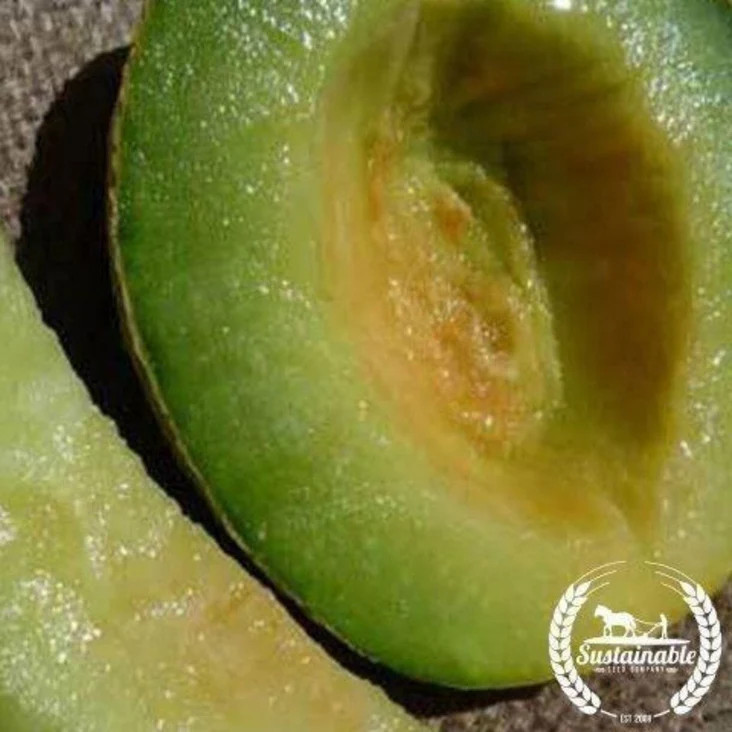 1-OZ Green Flesh ROCKY FORD CANTALOUPE Muskmelon Cucumis Melo Melon Fruit Seeds