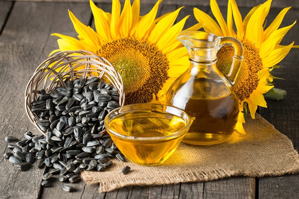 Black Oil Sunflower Seeds for Planting – 200+ Seeds – Made in USA – Attract Bird