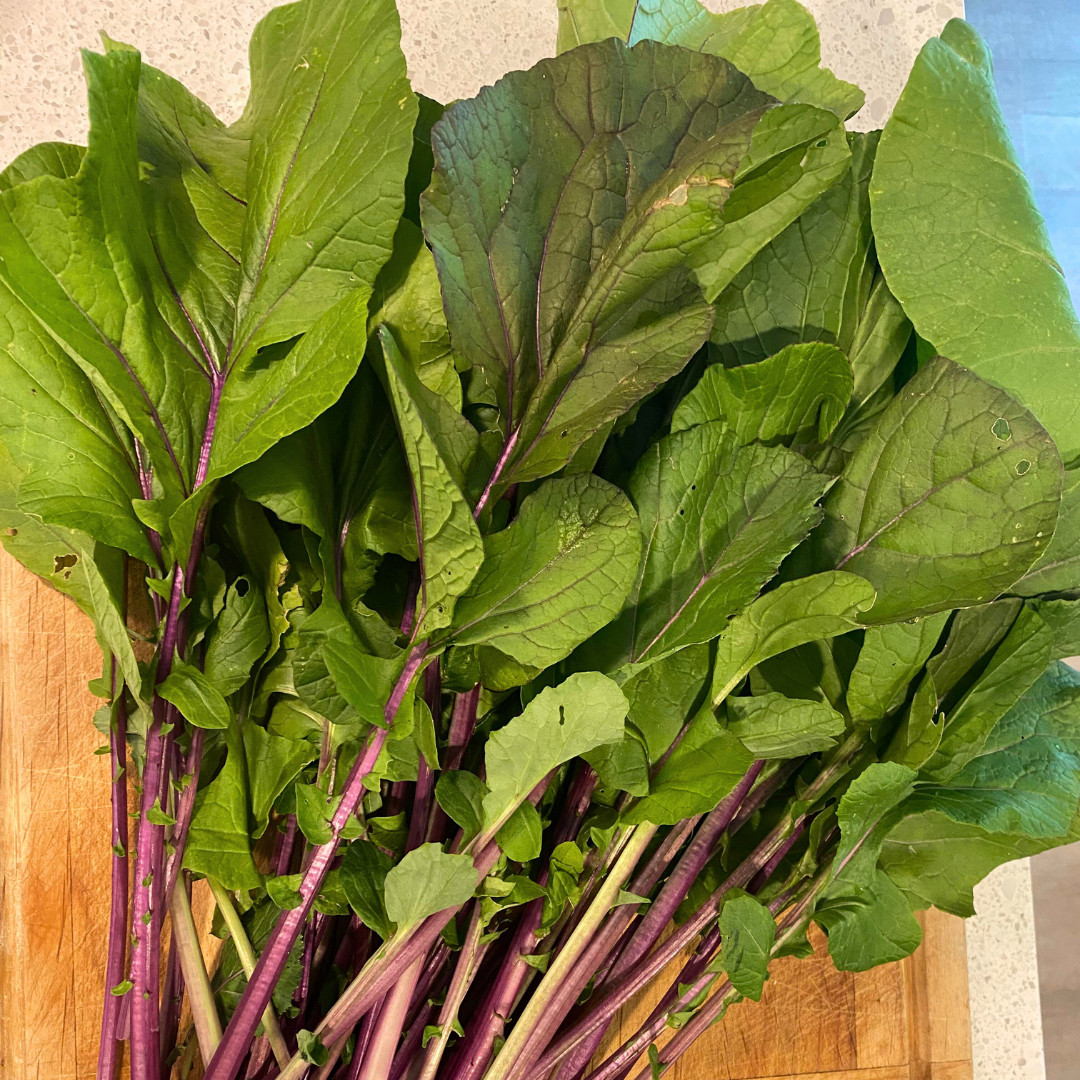 Fresh Hon Tsai Tai Seeds | Kosaitai | Heirloom Non-GMO | Asian Vegetable