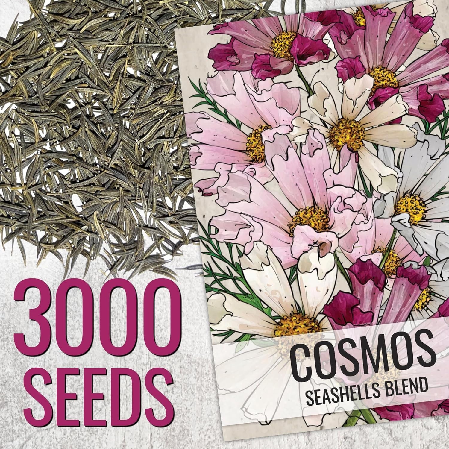 Seashells Cosmos Seeds Multicolored Flower Seed Blend 3,000+ Heirloom Seeds