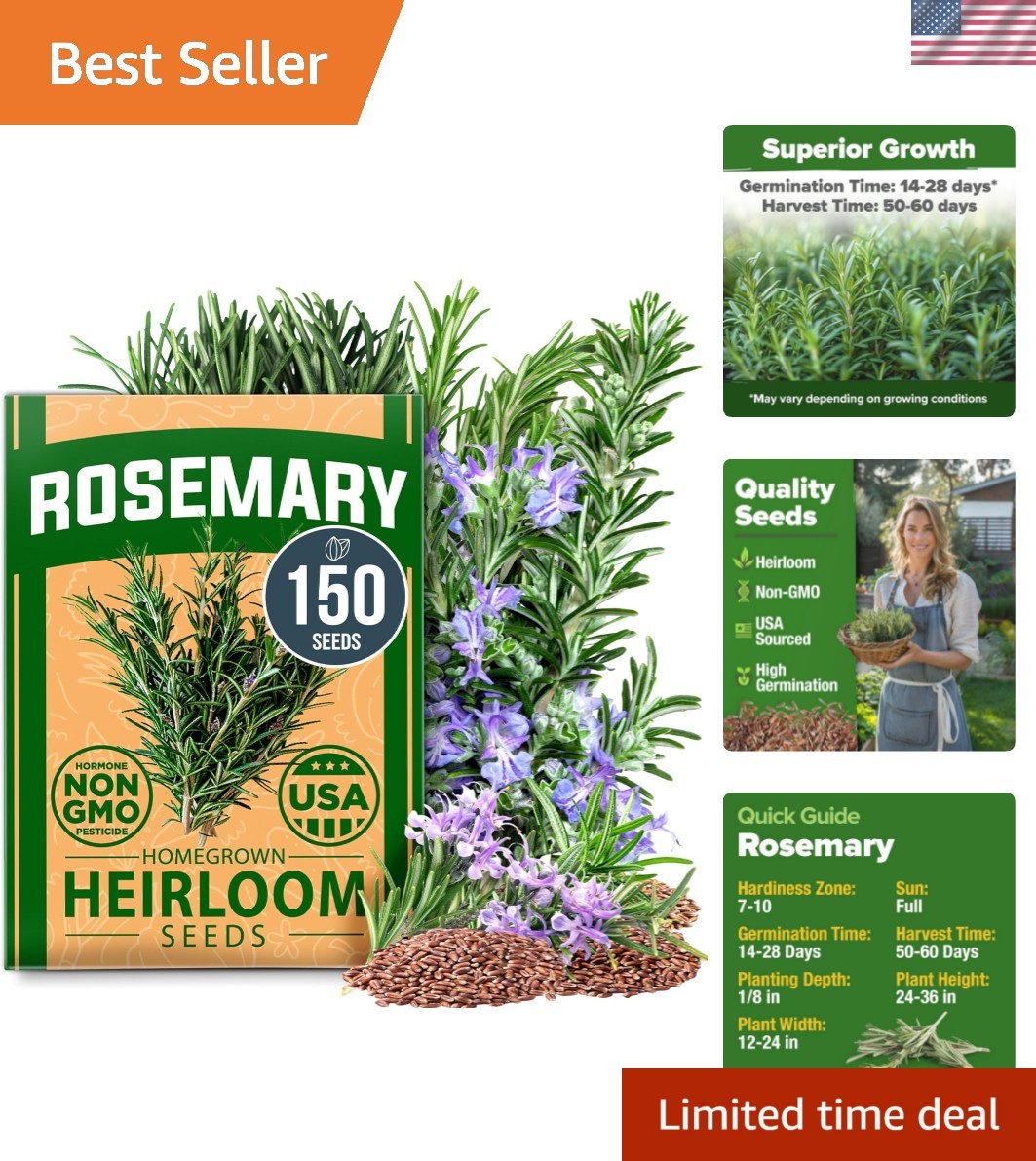 150 Pack Non-GMO Rosemary Seeds – Ideal for Indoor/Outdoor Herb Gardens