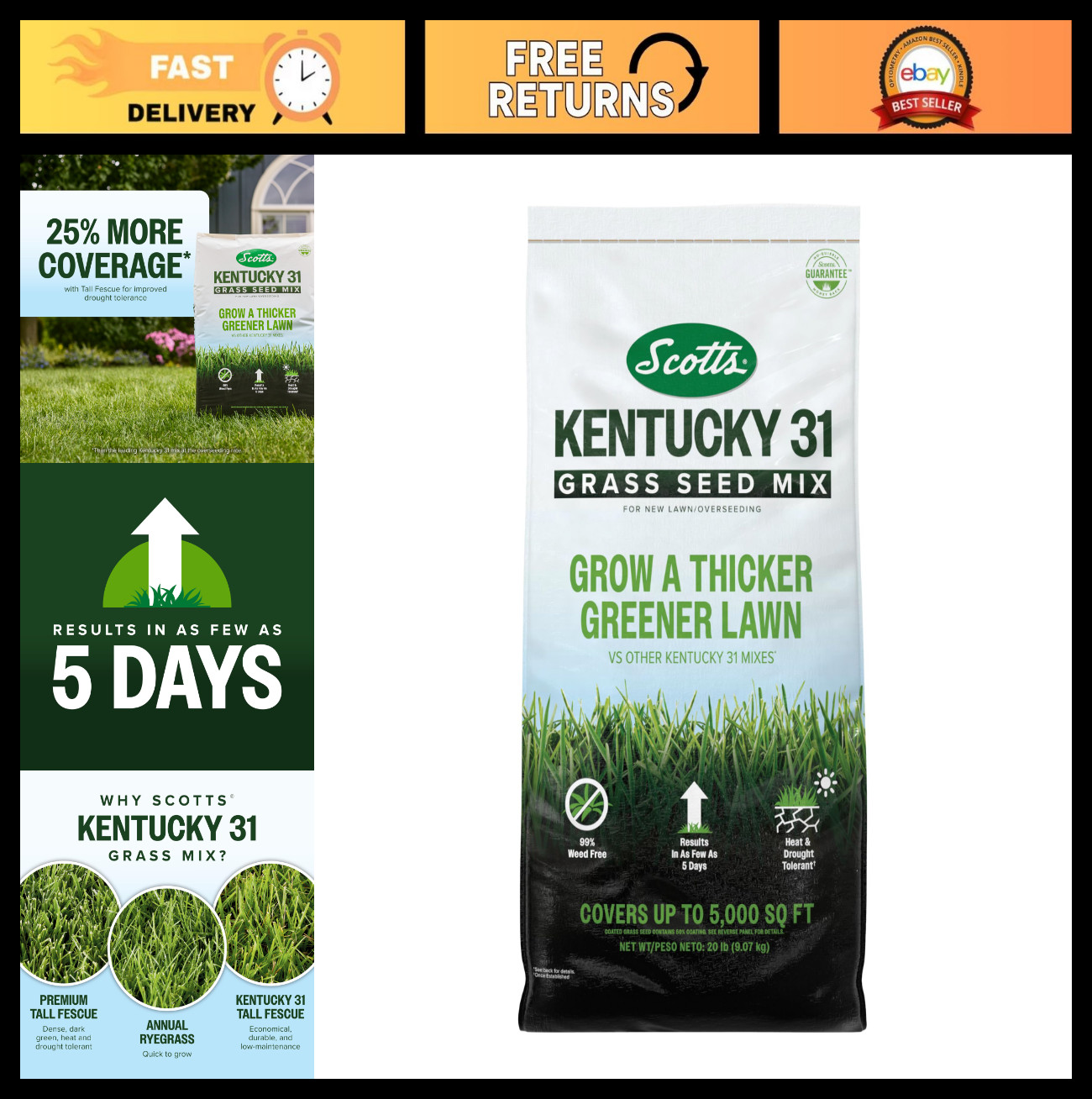 Premium Kentucky 31 Grass Seed Mix – Covers 5,000 sq. ft., 20 lb for Lush Lawn