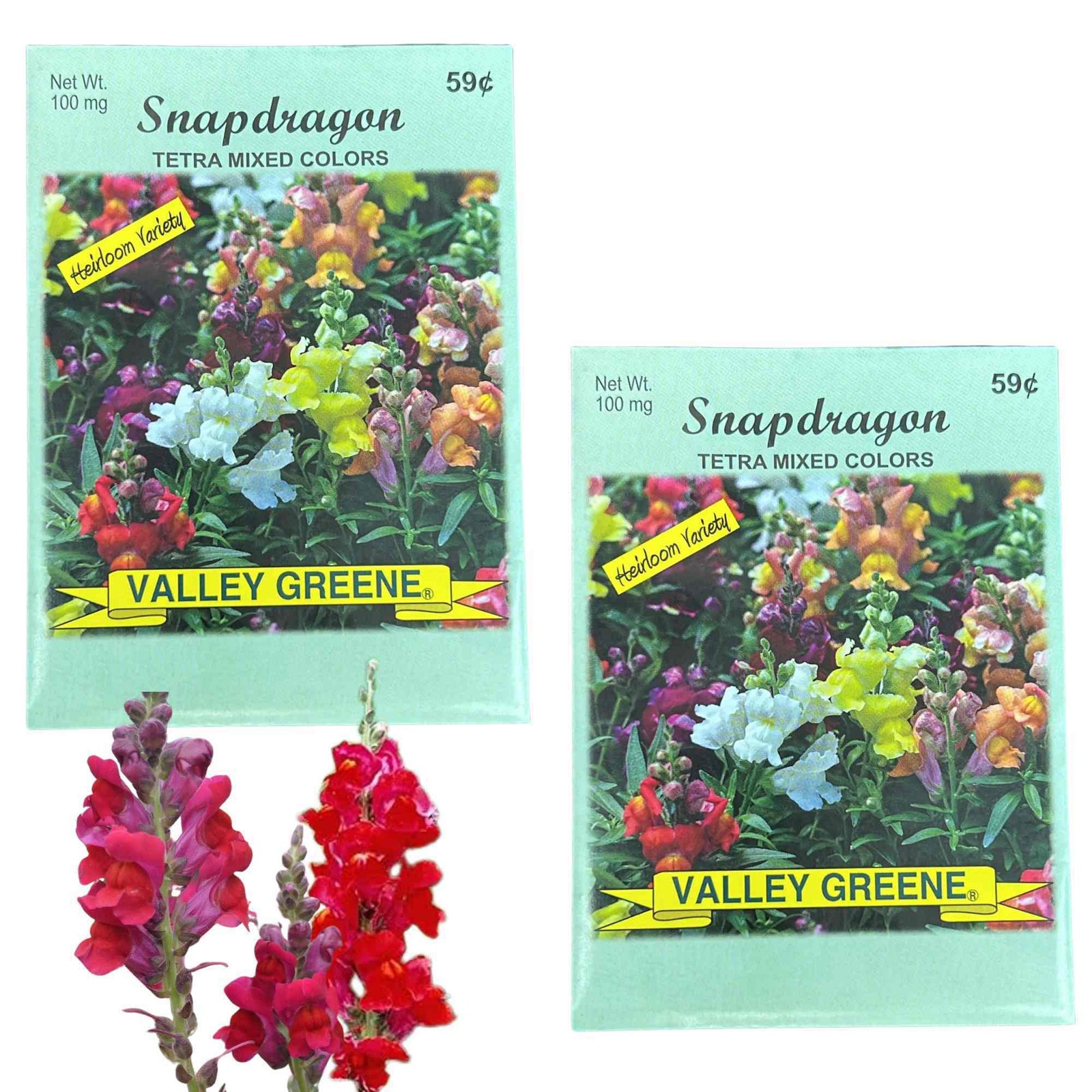 Valley Greene 100mg Snapdragon Tetra Mixed Colors Seeds :2CT
