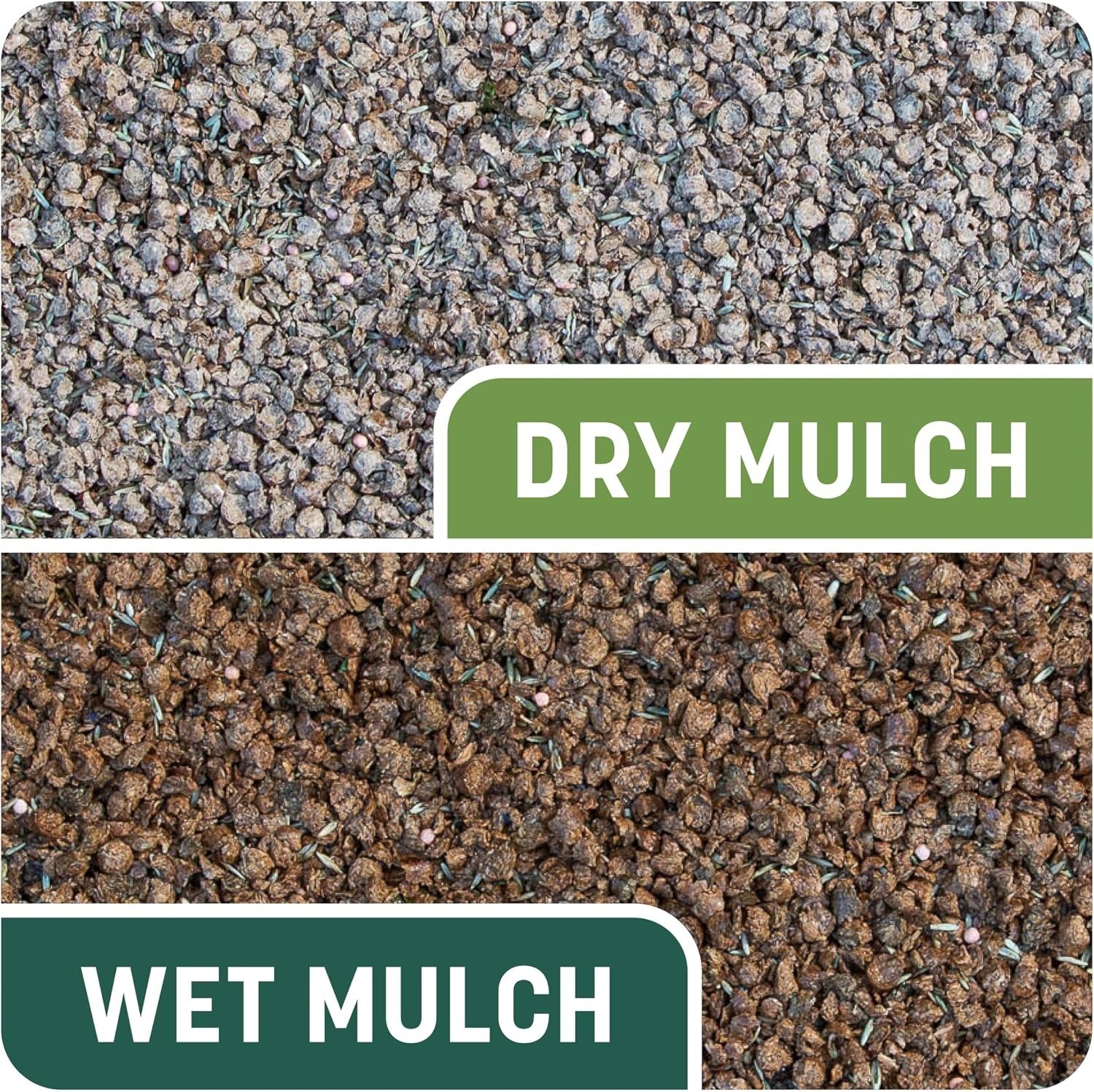 Pennington Smart Patch Sun & Shade Grass Seeds, 10 LB – Organic Lawn Repair Mix