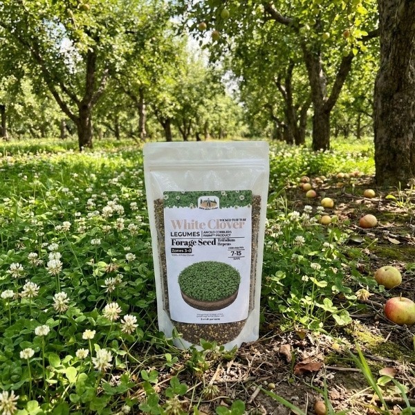 Old Cobblers Farm™ Wicked Tuff Turf White Clover (Legumes) – Green Lawn Cover