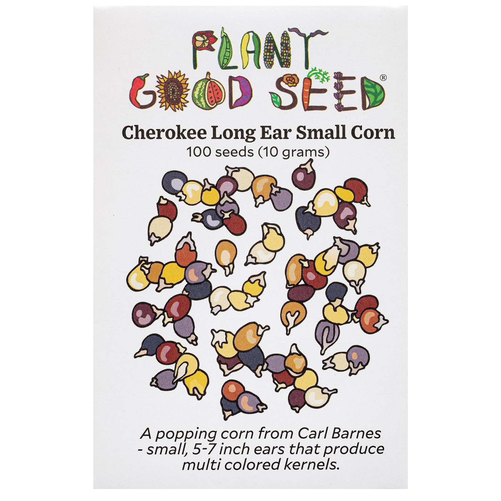Organic Cherokee Long Ear Popcorn Seeds: 100 Count