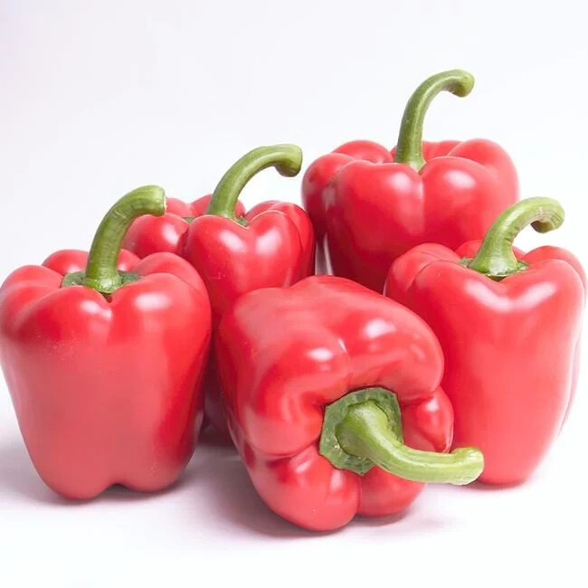 Bell Pepper Seeds – Cal Wonder Organic – Heirlooms – 250. mg