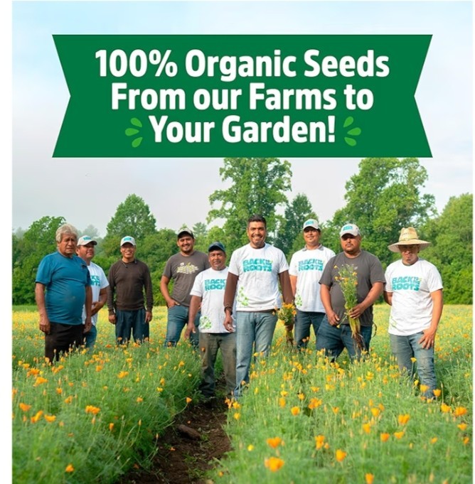 Hierloom Organic Non-GMO & USA Grown Seeds 30ct Herb Fruit Etc WE SHIP OVERSEAS