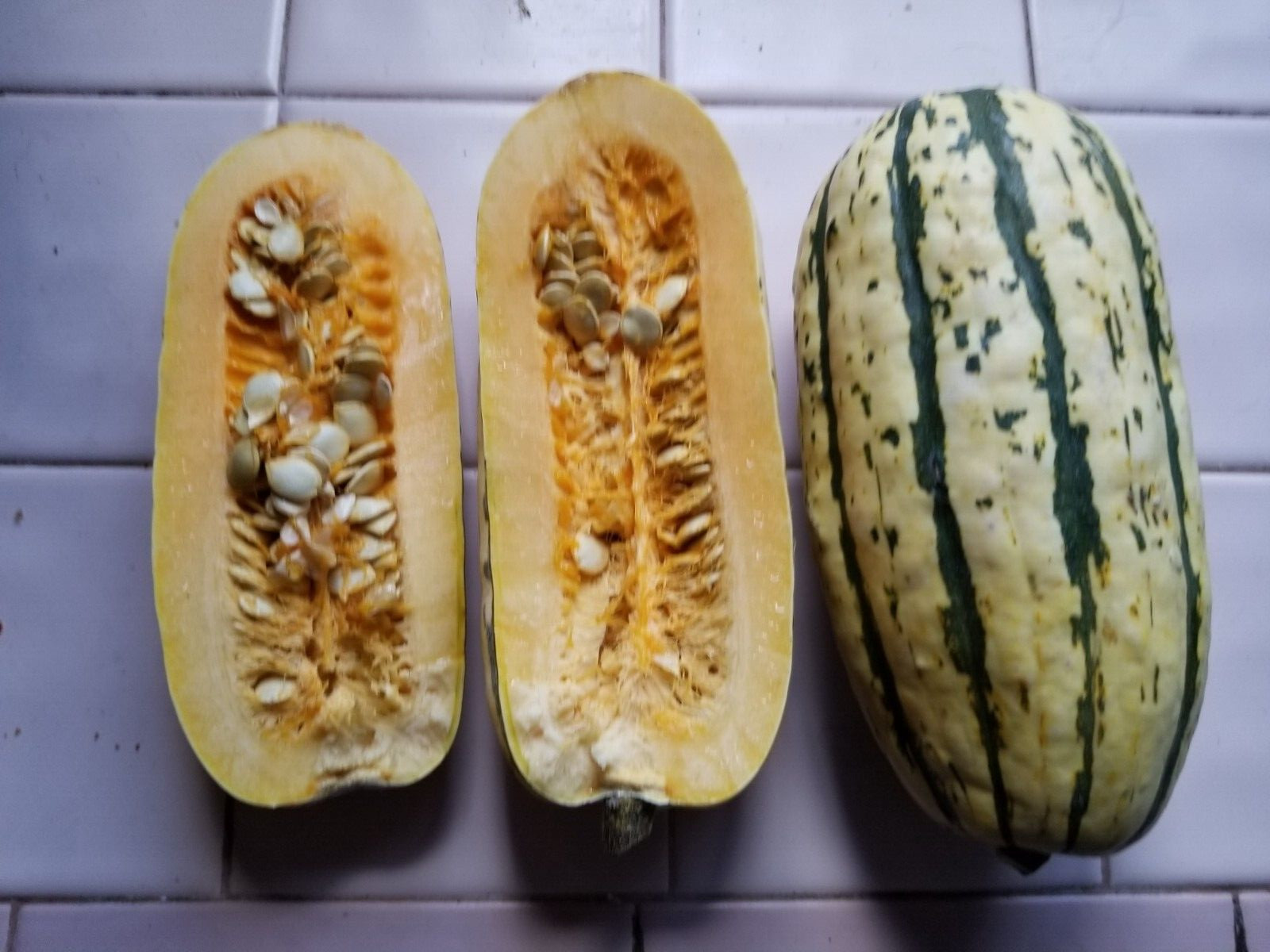 30+ Seeds Delicata Squash ,Sweet Potato Pumpkin Carnival Dumpling Harvested 2023