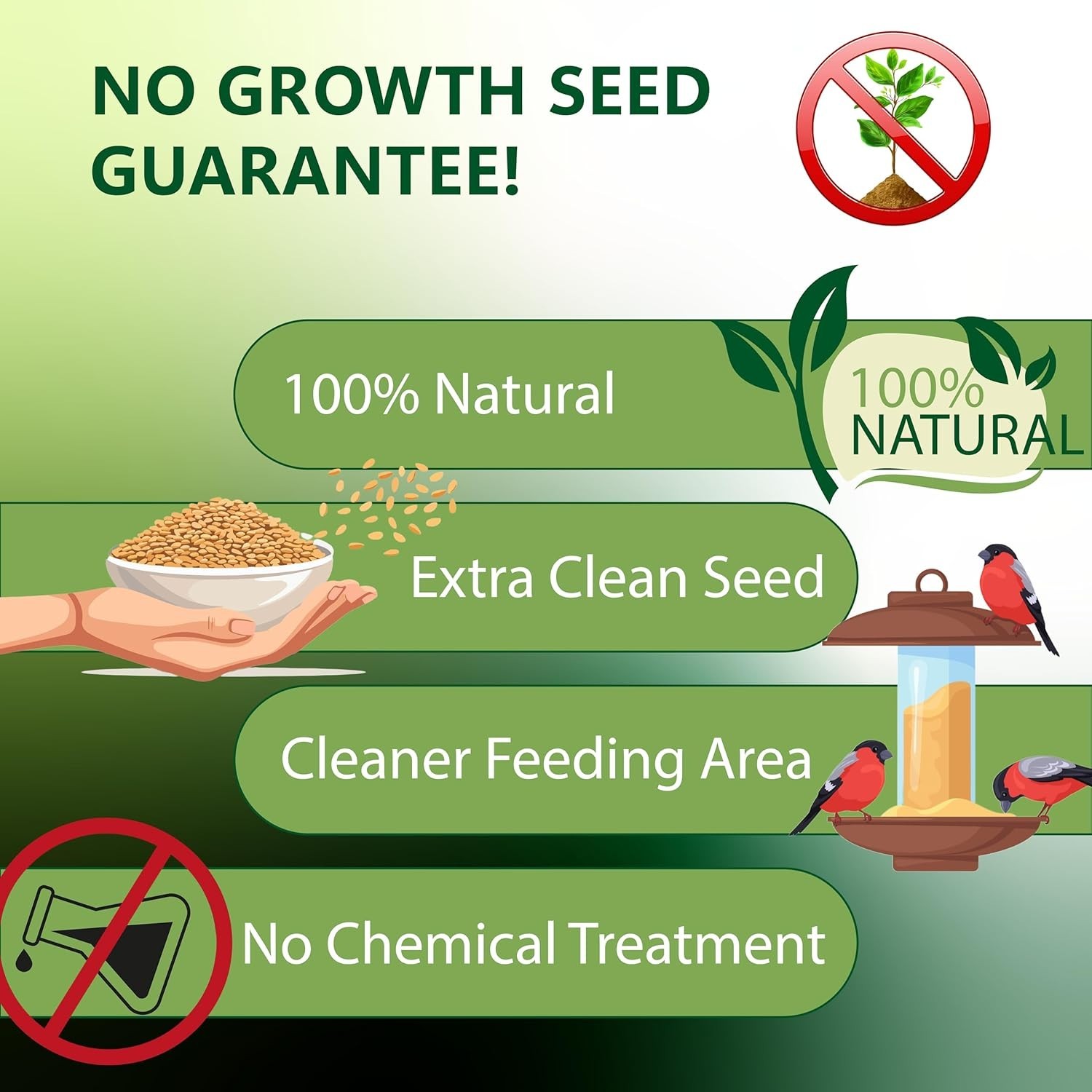 High-Quality Nyjer Seed for Birds – 5lb No Grow Seed, Perfect for Tube Feeders