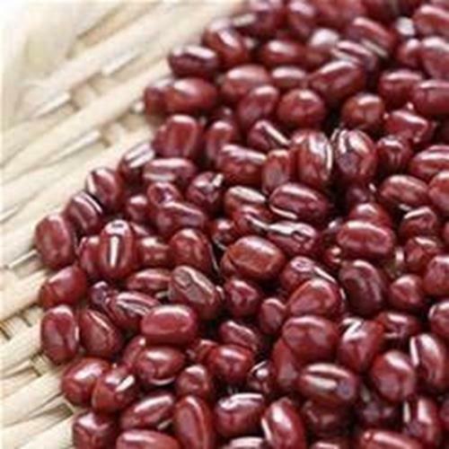 12 oz Adzuki Bean Seeds, Non-GMO Seed For Sprouting Sprouts Microgreens