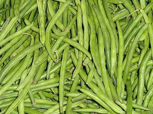 Contender Green Bean 1/4 lb. Crisp Texture, Rich Flavor & Consistent Production