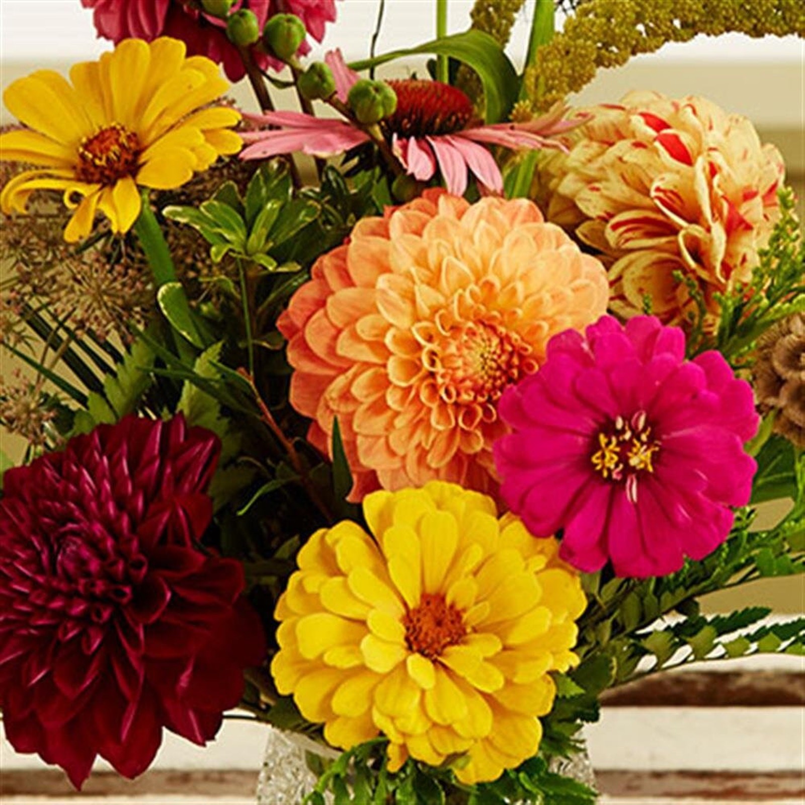 Dahlia Flower Mixture Zinnia Heirloom Seeds Great for Cut Flowers – 50 seeds